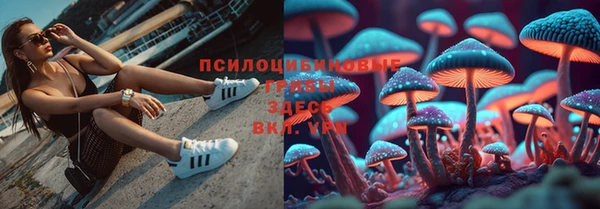 метадон Алексеевка