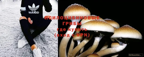 прущая мука Алзамай