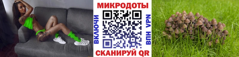 Галлюциногенные грибы MAGIC MUSHROOMS  Волгодонск 
